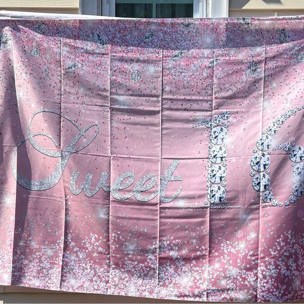 Pink Sweet 16 Backdrop